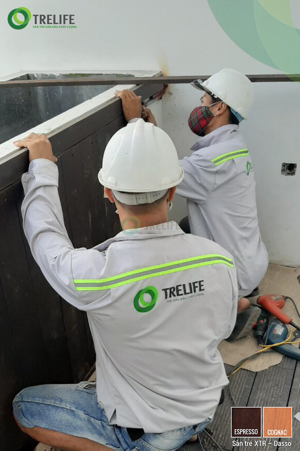 Sàn Tre Trelife Việt Nam hành trình 7 năm 1 chặng đường