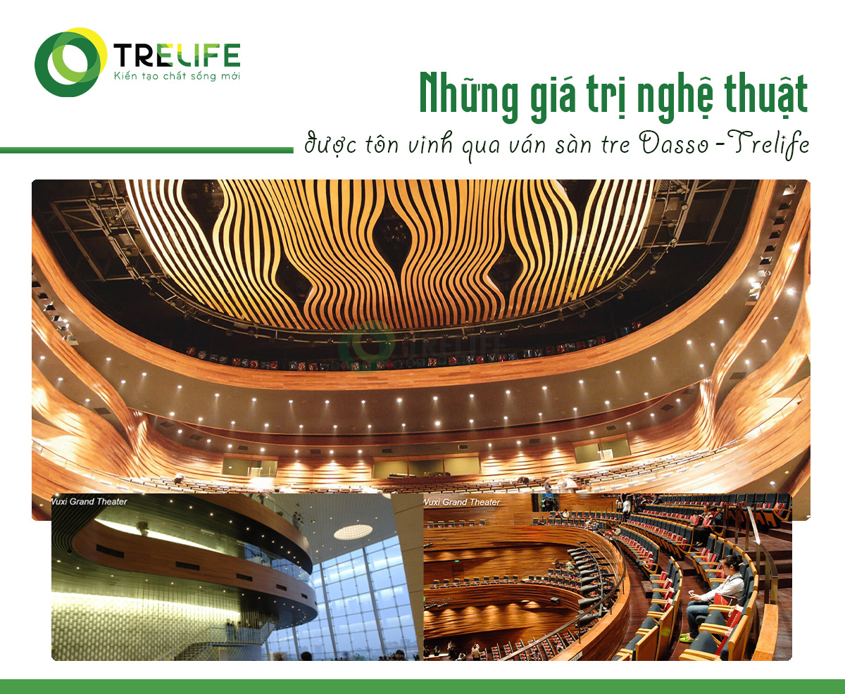 Sàn tre Dasso tôn vinh những giá trị nghệ thuật
