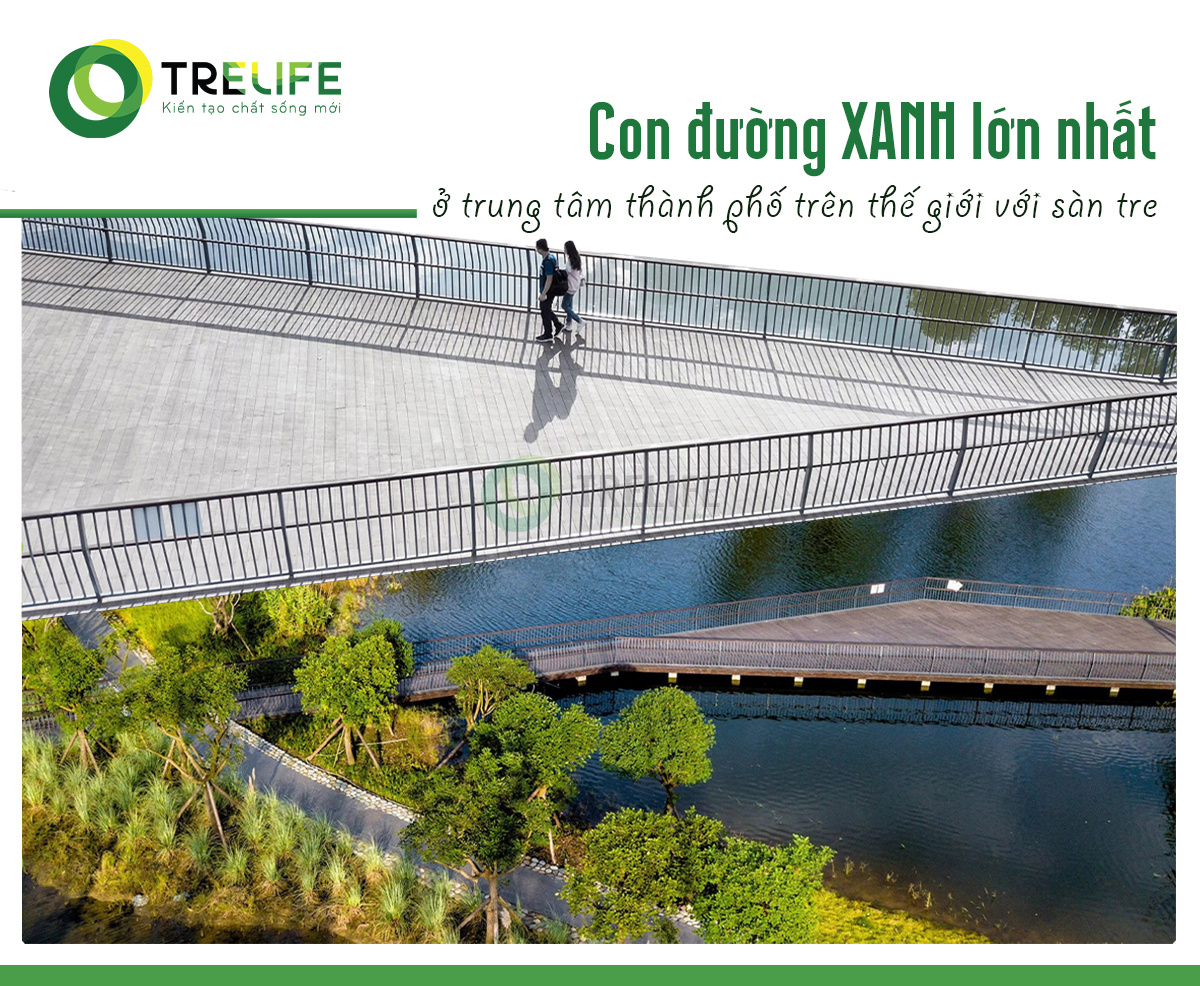 Sàn tre Dasso trên con đường XANH lớn nhất ở trung tâm thành phố