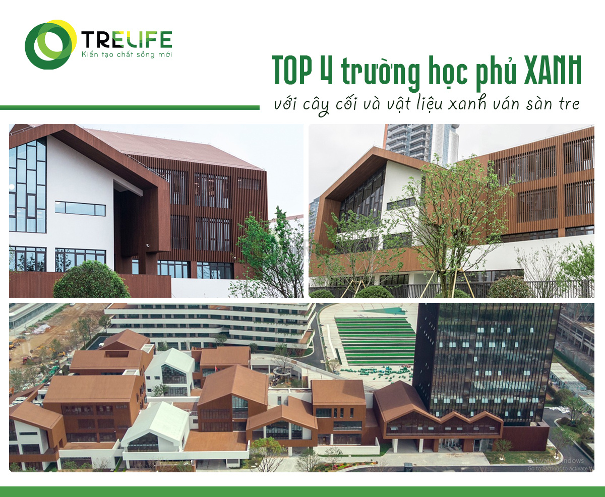 TOP 4 trường học phủ XANH với cây cối và vật liệu xanh ván sàn tre