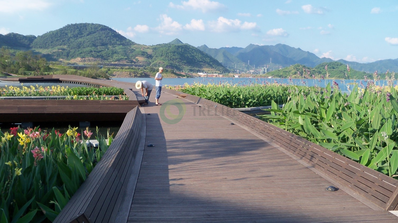 Sàn tre ngoài trời Trelife đáp ứng các tiêu chí nào thiết kế ngoại thất