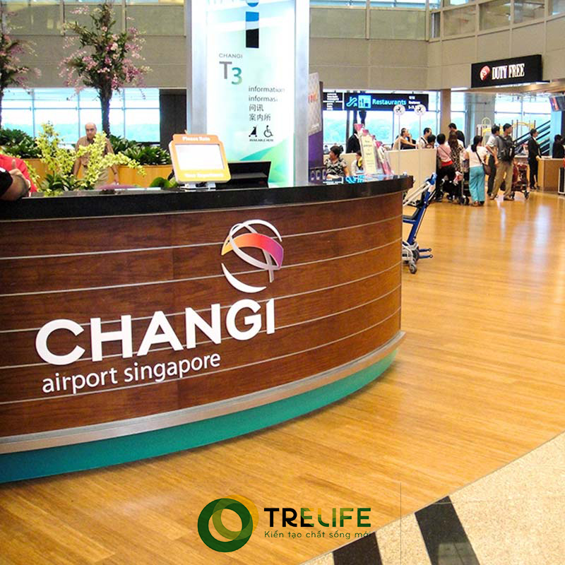 Sân bay quốc tế Singapore Changi
