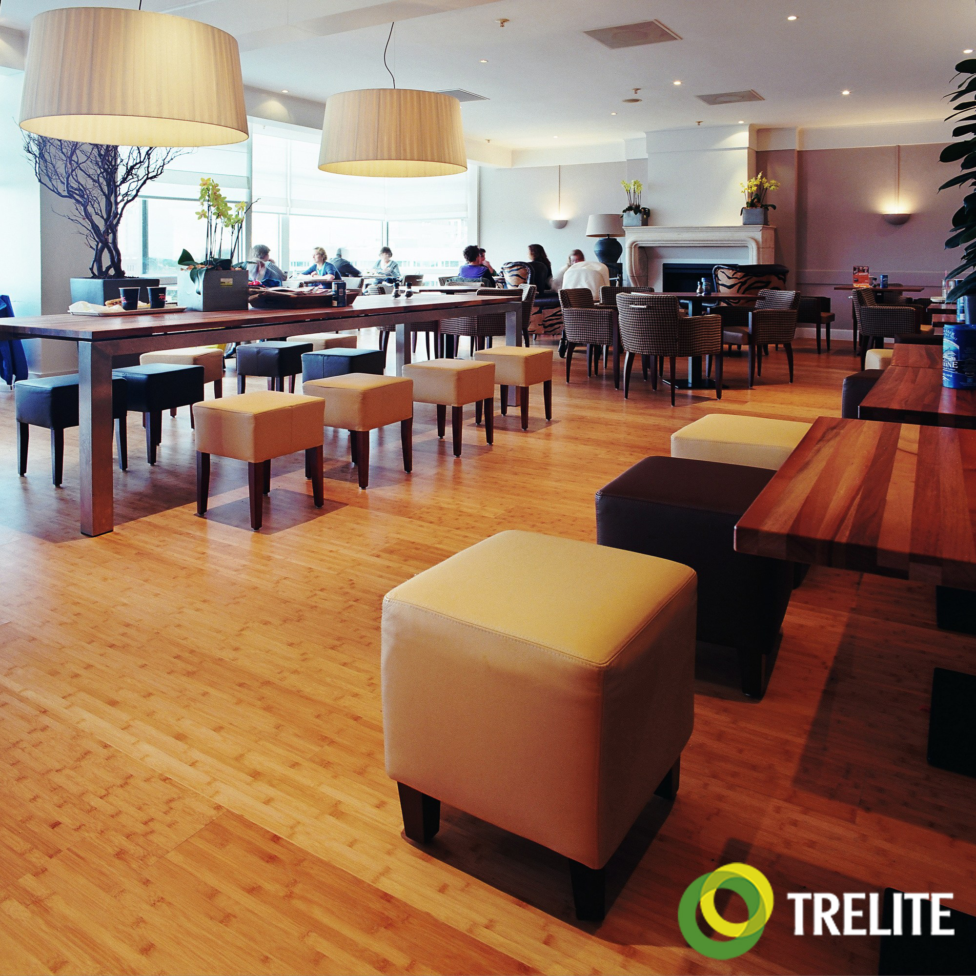null sàn tre trong nhà Trelife.vn